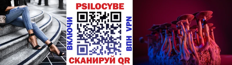 Купить где  Чехов  Псилоцибиновые грибы прущие грибы 