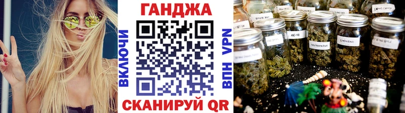 Канабис сатива Чехов